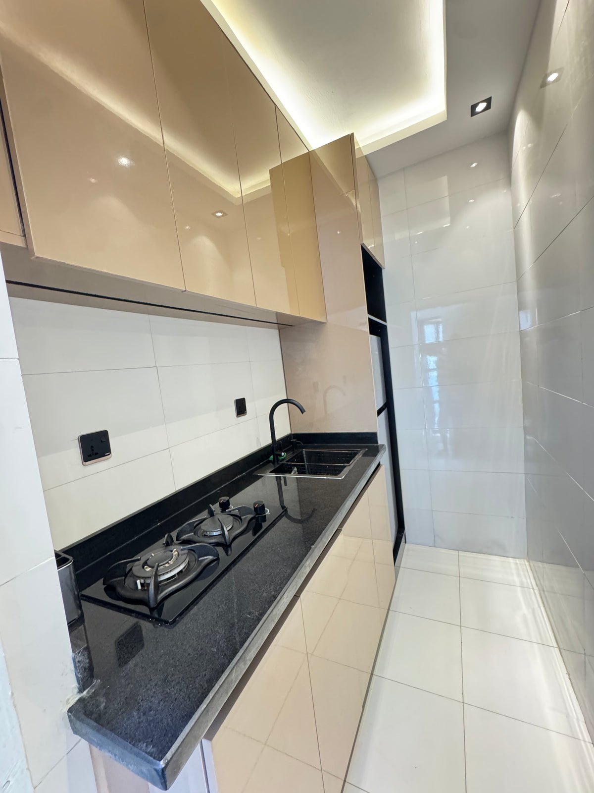 Luxury studio Apartment _Asokoro